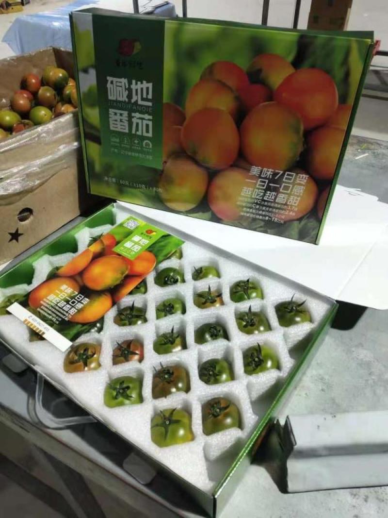 自有基地39个日光温室，口感统一，产量保证，碱地番茄