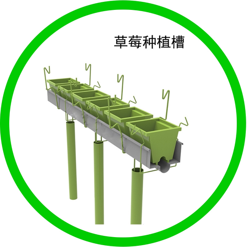 草莓种植系统空中草莓