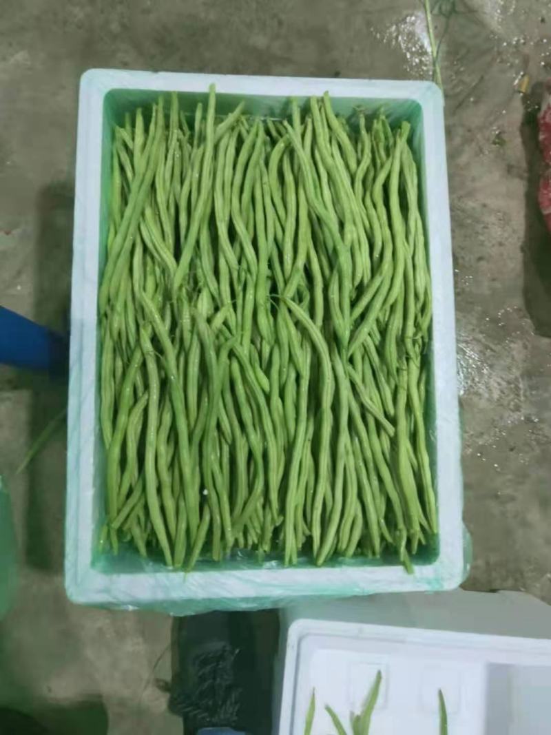各类豆角以大量上市，需要的联系我