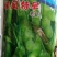 鲜食毛豆种子一斤装品质好早熟性好结荚多