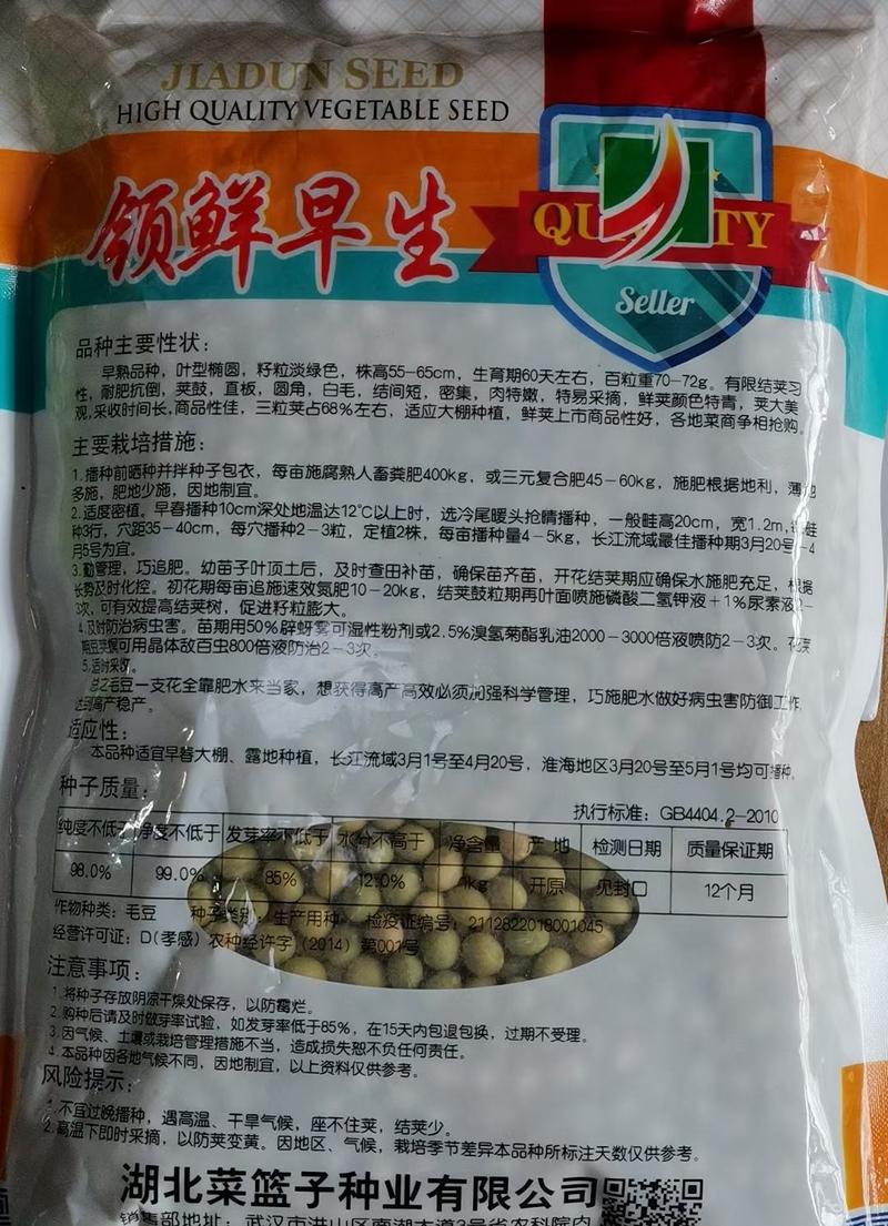 鲜食毛豆种子一斤装品质好早熟性好结荚多