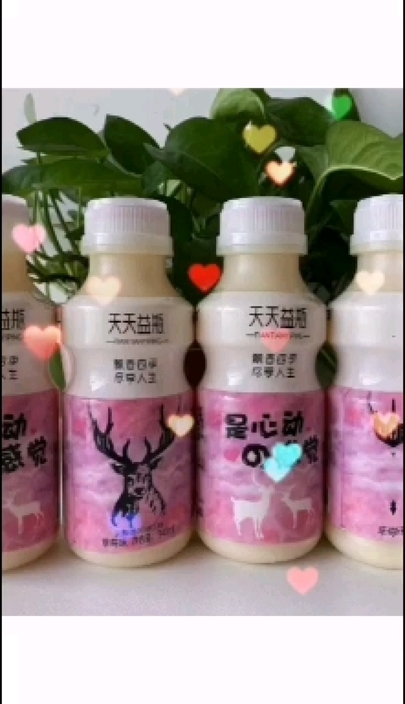 益生菌原味草莓两个口味排单生产最新日期欢迎订购