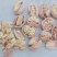 阿克苏薄皮核桃，阿克苏新二核桃，新疆纸皮核桃，产地发货