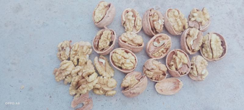 阿克苏薄皮核桃，阿克苏新二核桃，新疆纸皮核桃，产地发货