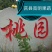 【精品】中油油桃，大棚油桃红油桃诚信经营