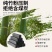 绿色环保赖烧无烟竹炭
