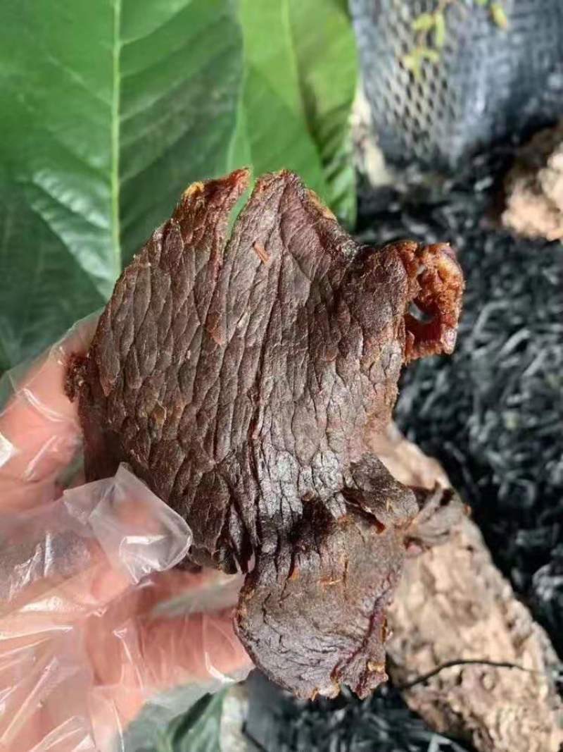 浙江温州特产湖岭阿明手撕牛肉干牛肉片桶装零食小吃500克
