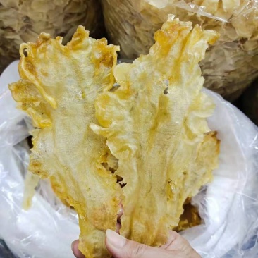 鳕鱼胶，正品鳕鱼胶，干度好无添加，诚信经营品质保证！
