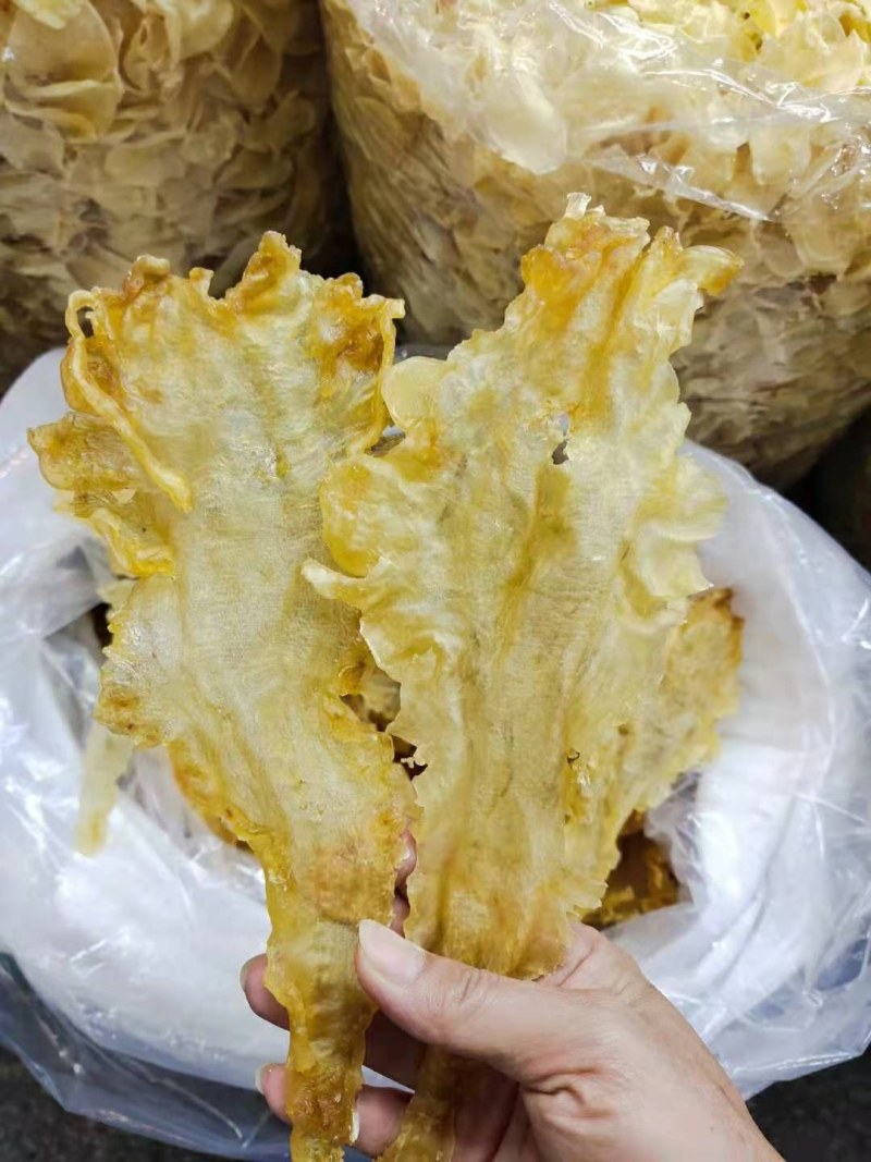 鳕鱼胶，正品鳕鱼胶，干度好无添加，诚信经营品质保证！