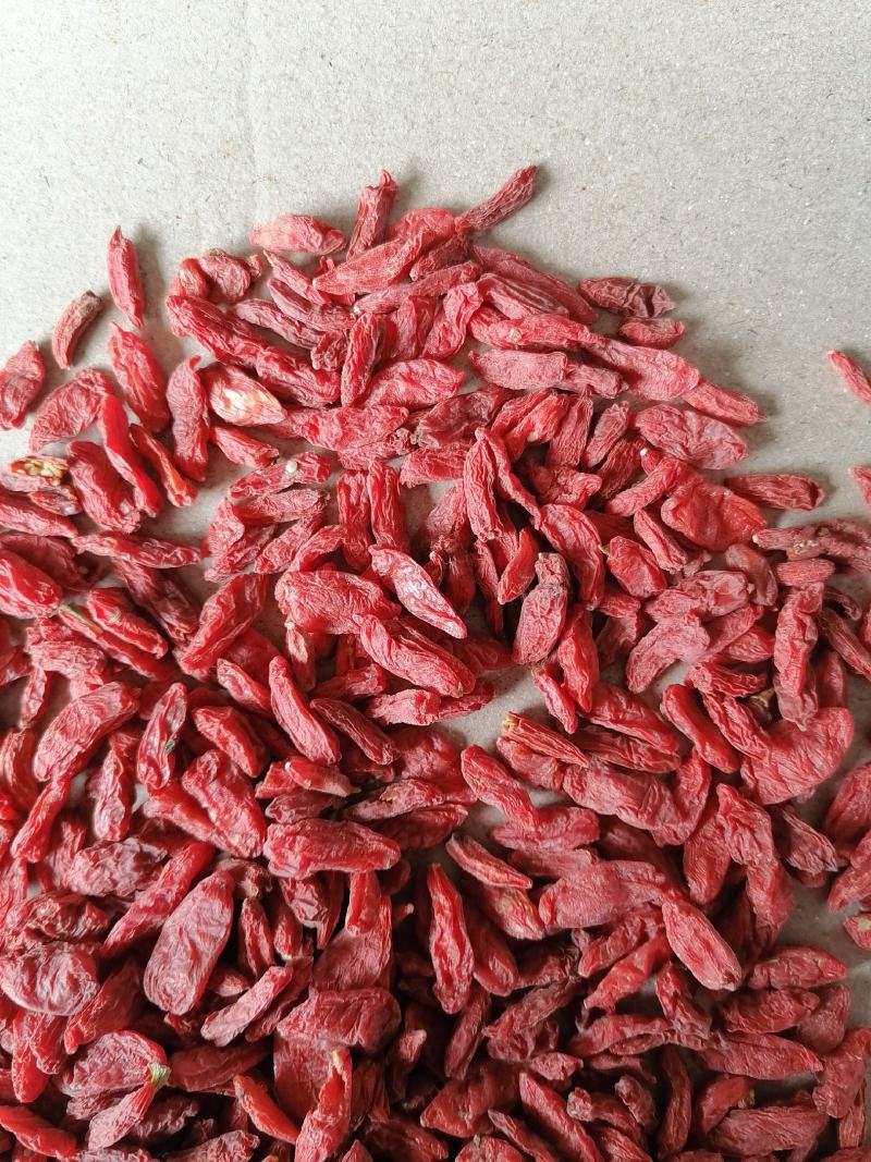 甘肃枸杞免洗红苟杞茶泡水枸杞甘肃好枸杞批发零售各种规格