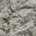 棉茵陈～新货~量大优惠～1公斤起售～诚信合作~