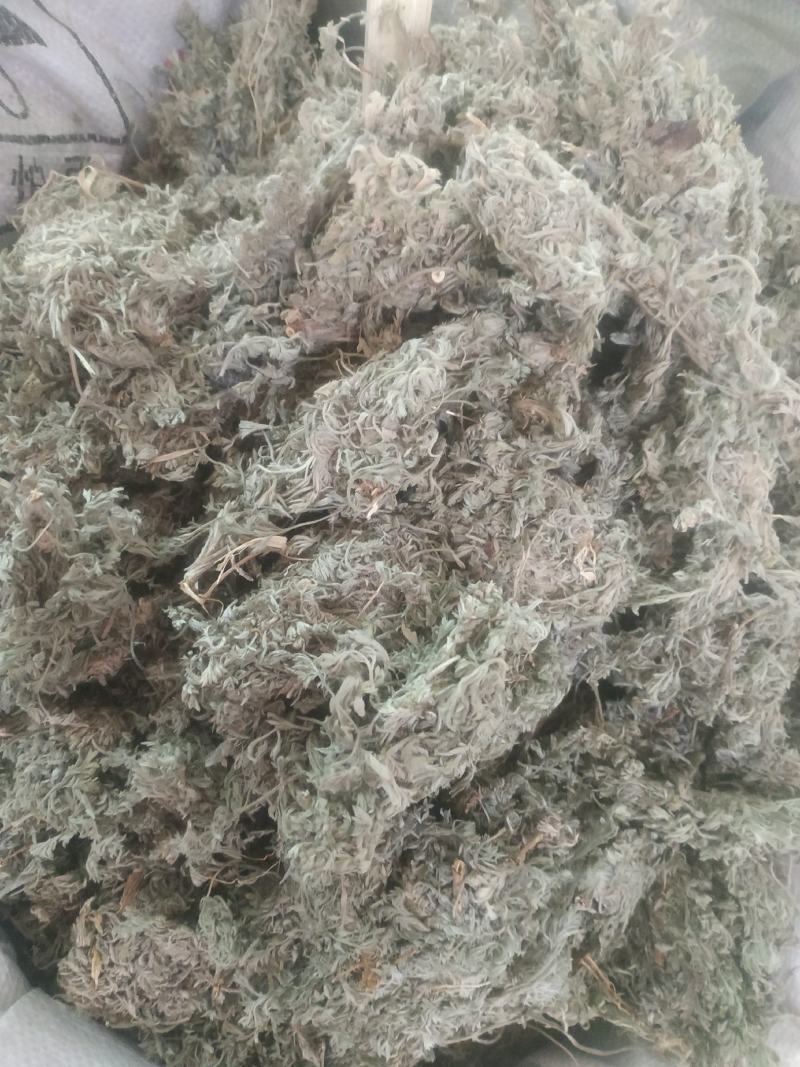 棉茵陈～新货~量大优惠～1公斤起售～诚信合作~