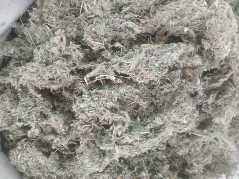 棉茵陈～新货~量大优惠～1公斤起售～诚信合作~