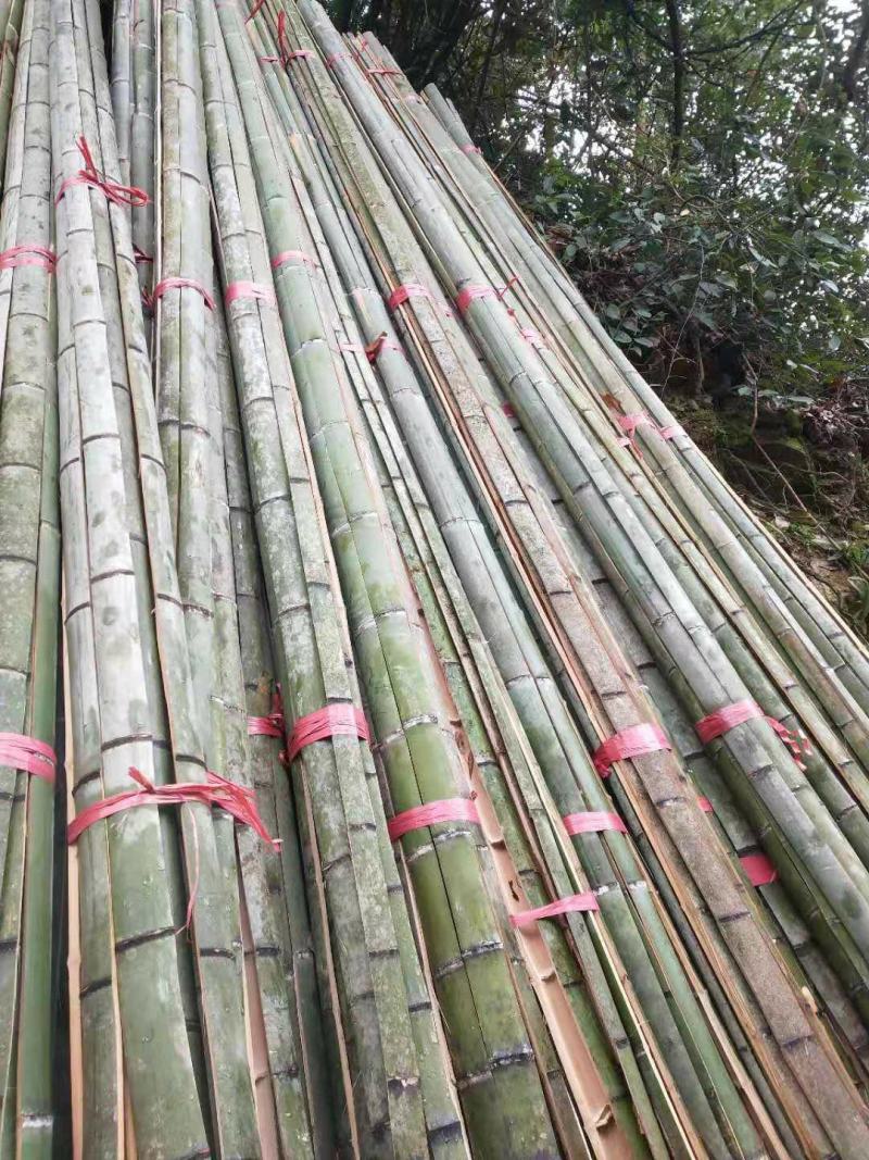 羊床竹片3.5公分宽度质量好长期供应保质保量。