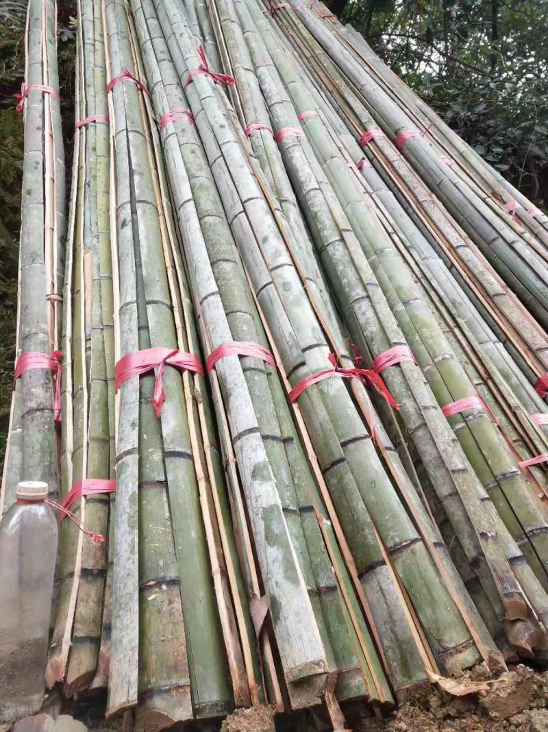 羊床竹片3.5公分宽度质量好长期供应保质保量。