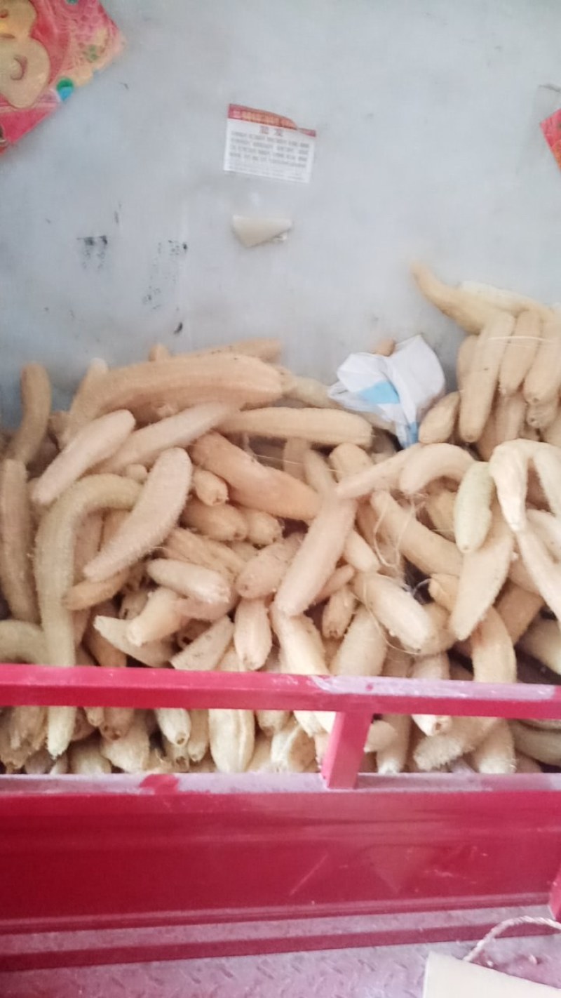 洗碗用丝瓜络：药用丝瓜络无皮元籽干品9元一斤。有大货批发