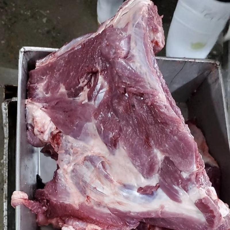 厂家批发冻猪前排精修多肉量大优惠
