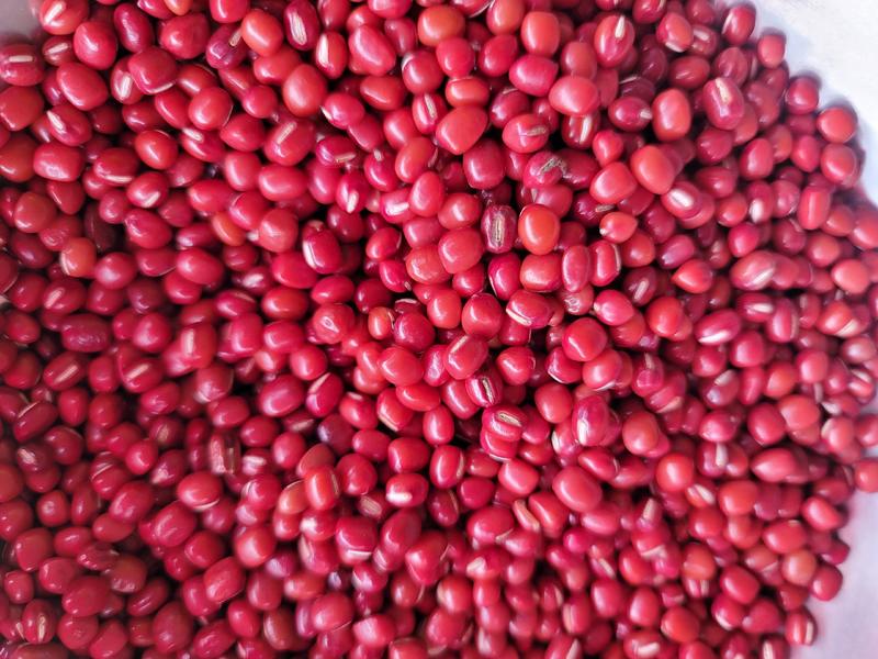 珍珠粒红小豆，质量好价格优