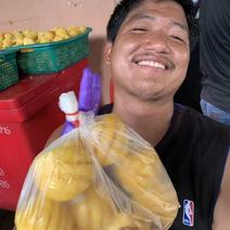 泰国小菠萝厂家直供16斤