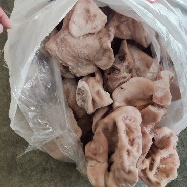 猪耳朵，国产，新货，畸形猪耳朵，食堂快餐专用