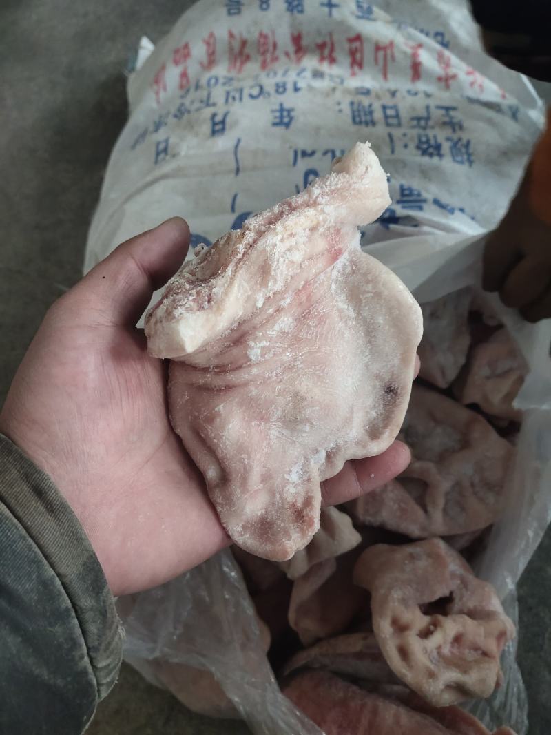 猪耳朵，国产，新货，畸形猪耳朵，食堂快餐专用