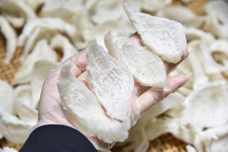燕窝密盏疏盏燕碎燕条规格齐全100克起发货