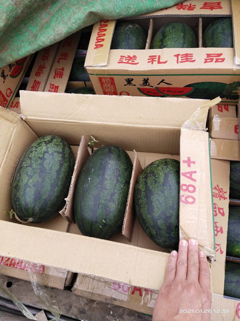 越南黑美人西瓜，产地直供，果子新鲜甜度高，果面光滑。