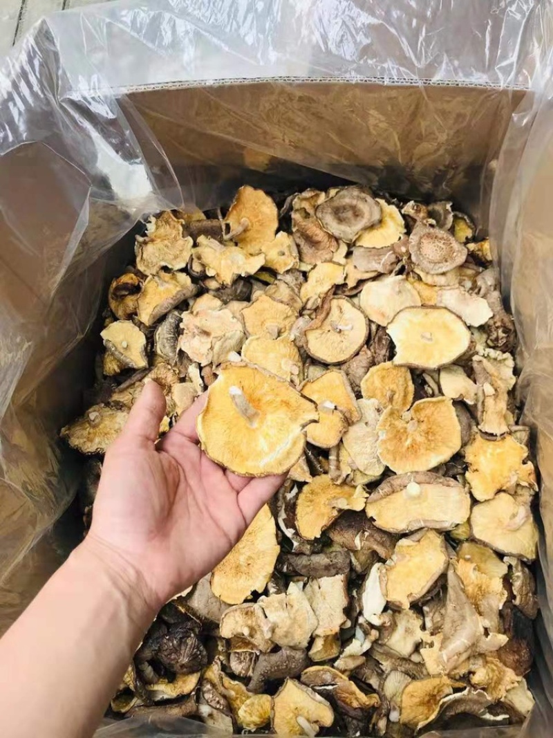 【良心推荐】香菇大片，产地直销，餐饮企业优选产品