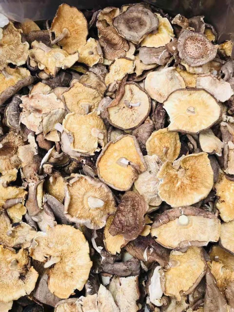 【良心推荐】香菇大片，产地直销，餐饮企业优选产品