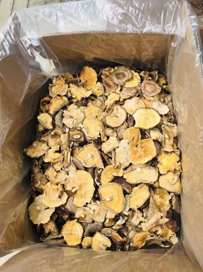 【良心推荐】香菇大片，产地直销，餐饮企业优选产品