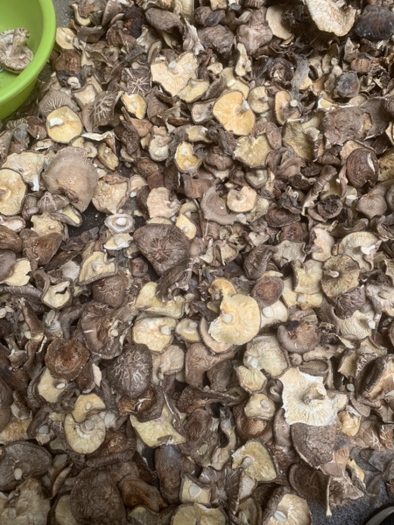 【良心推荐】香菇大片，产地直销，餐饮企业优选产品