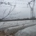 开封市尉氏县惠禾润原种脱毒红薯苗繁育基地。商薯19红薯苗