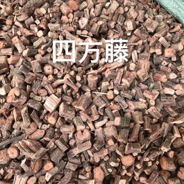 四方藤红宽筋藤四方藤万筋藤四方风春根藤