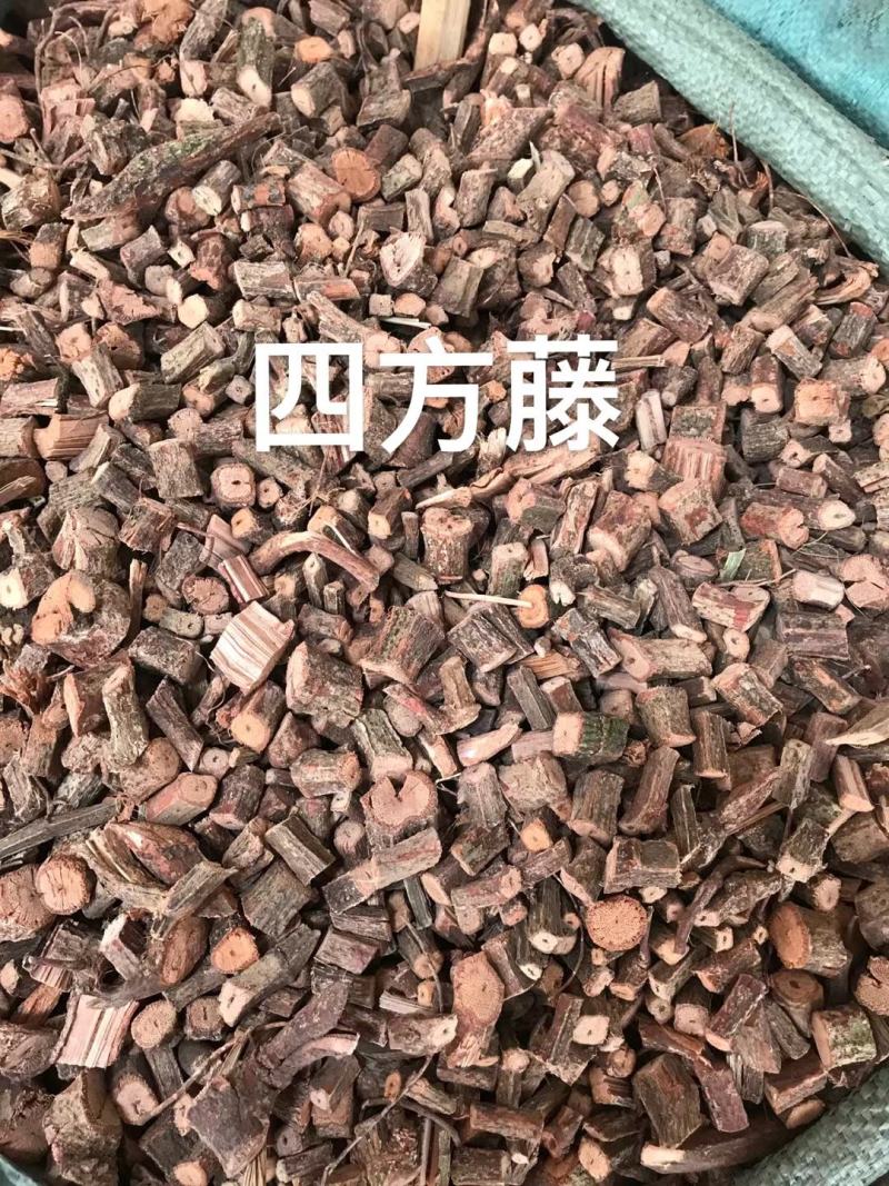 四方藤红宽筋藤四方藤万筋藤四方风春根藤