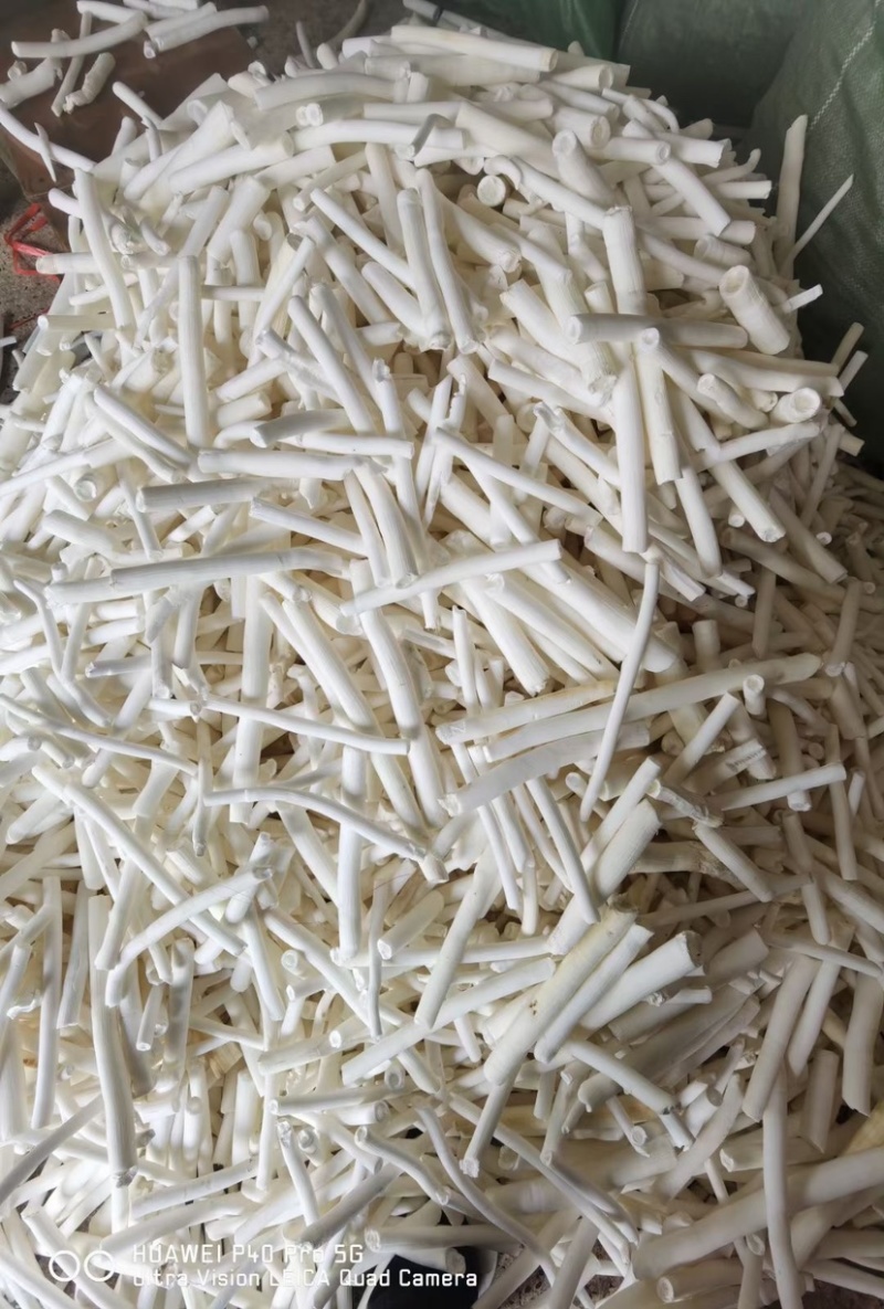 通草大通草足干色白农户纯手工采摘