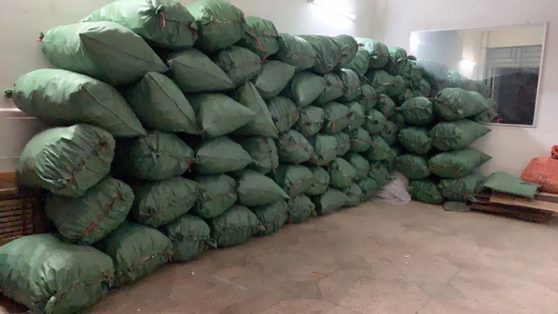 通草大通草足干色白农户纯手工采摘
