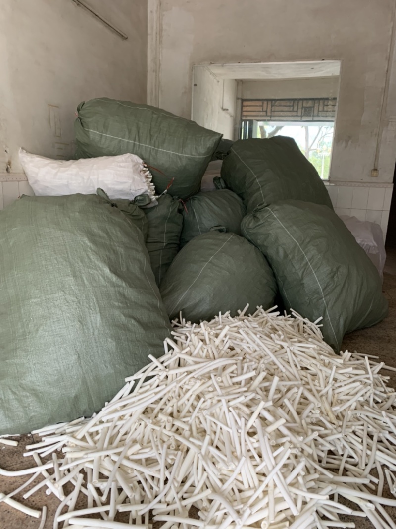 通草大通草足干色白农户纯手工采摘