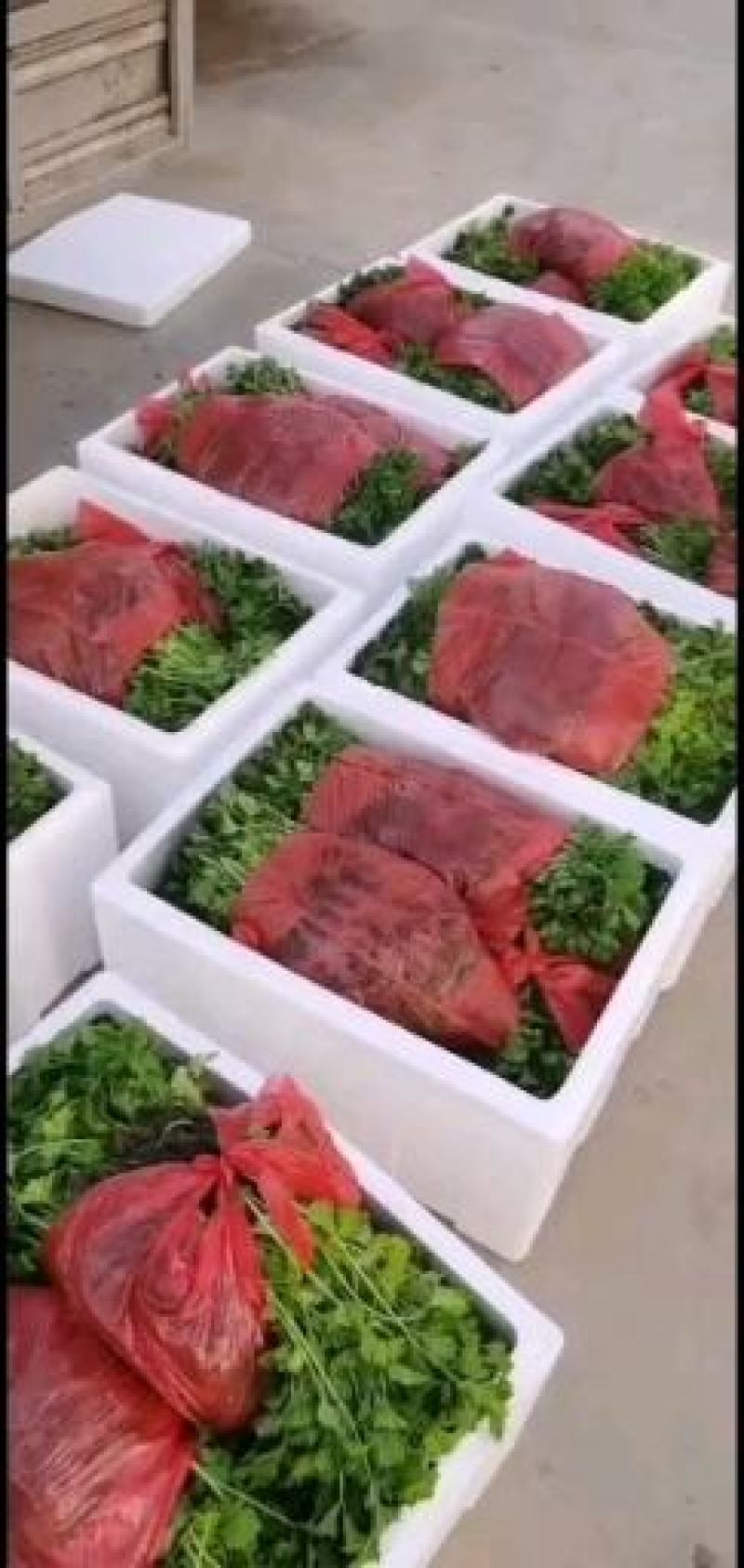 包菜，甘蓝苗，特级种子，量大从优，欢迎来电