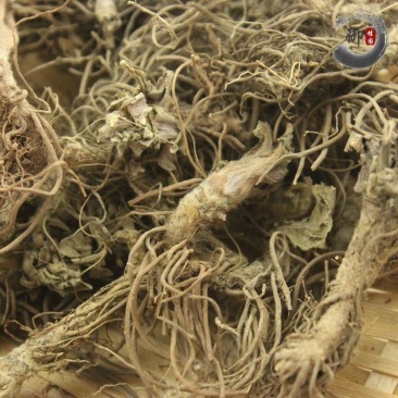 地胆头野生地胆草苦地胆丁茄夫红花地斩头（千种药欢迎来单）