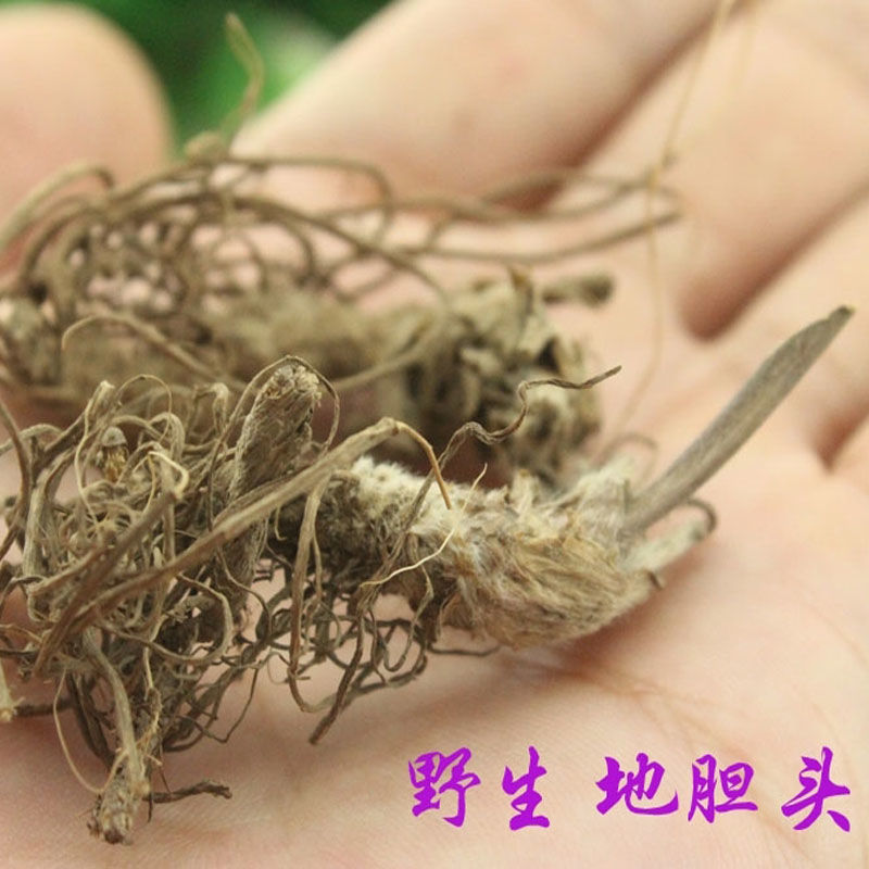 地胆头野生地胆草苦地胆丁茄夫红花地斩头（千种药欢迎来单）