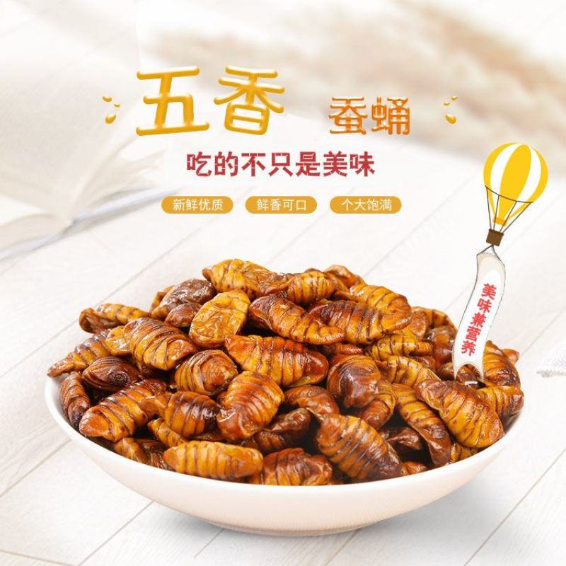 【山东蚕蛹】新鲜蚕蛹批发鲜活速冻桑蚕蛹非金丝蛹新鲜蛹子非