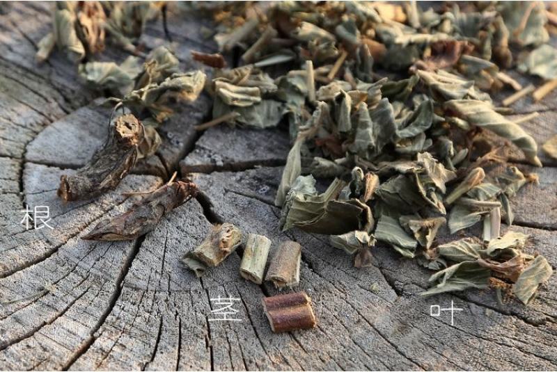 仙鹤草中药材批仙鹤草仙学草龙牙草狼牙草