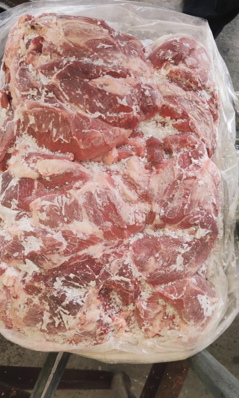 国产母猪二号肉优惠价格手续齐全质量保证有需要得联系