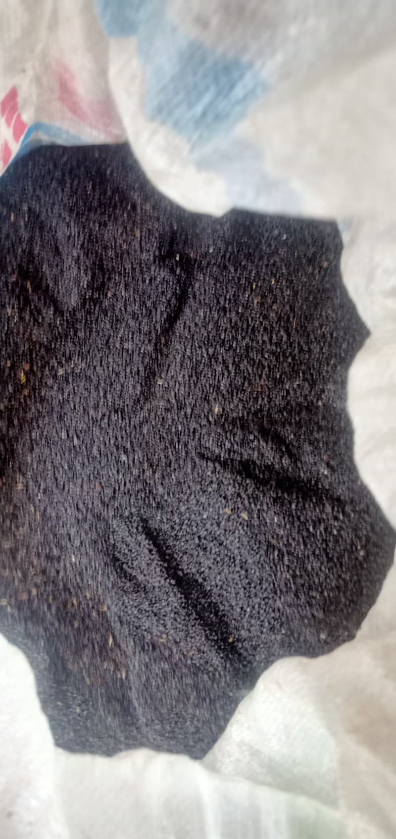 承德多花瓣金莲花种子