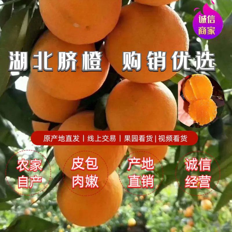【荐】伦晚脐橙产地直供低价，一手货源口感甜，个大皮溥化渣