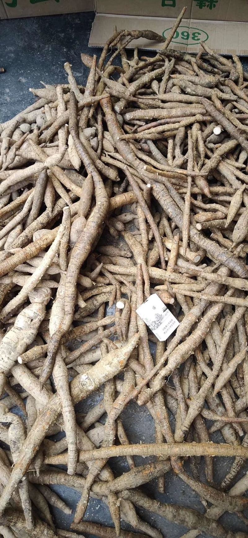 牛大力黄牛野生牛大力鲜货统货新鲜煲汤