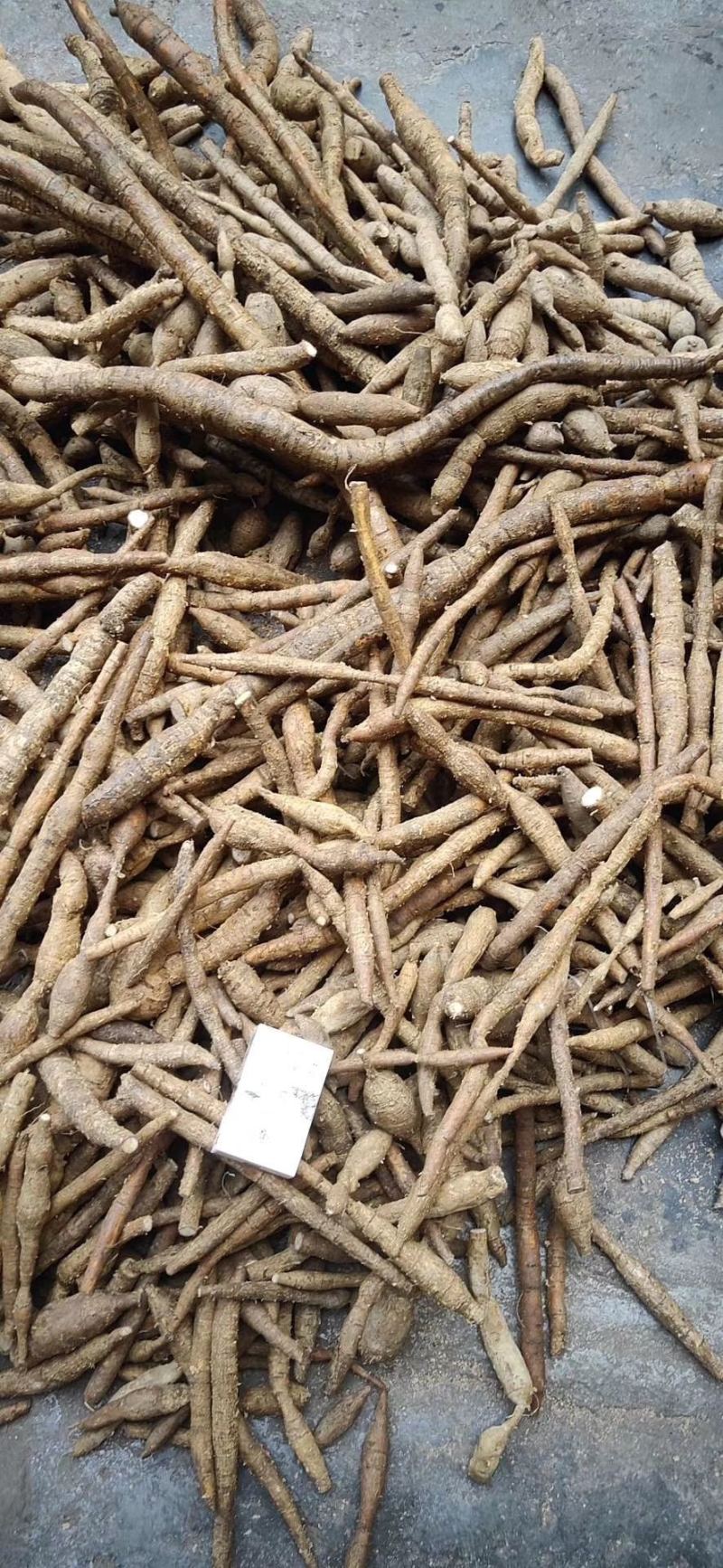 牛大力黄牛野生牛大力鲜货统货新鲜煲汤