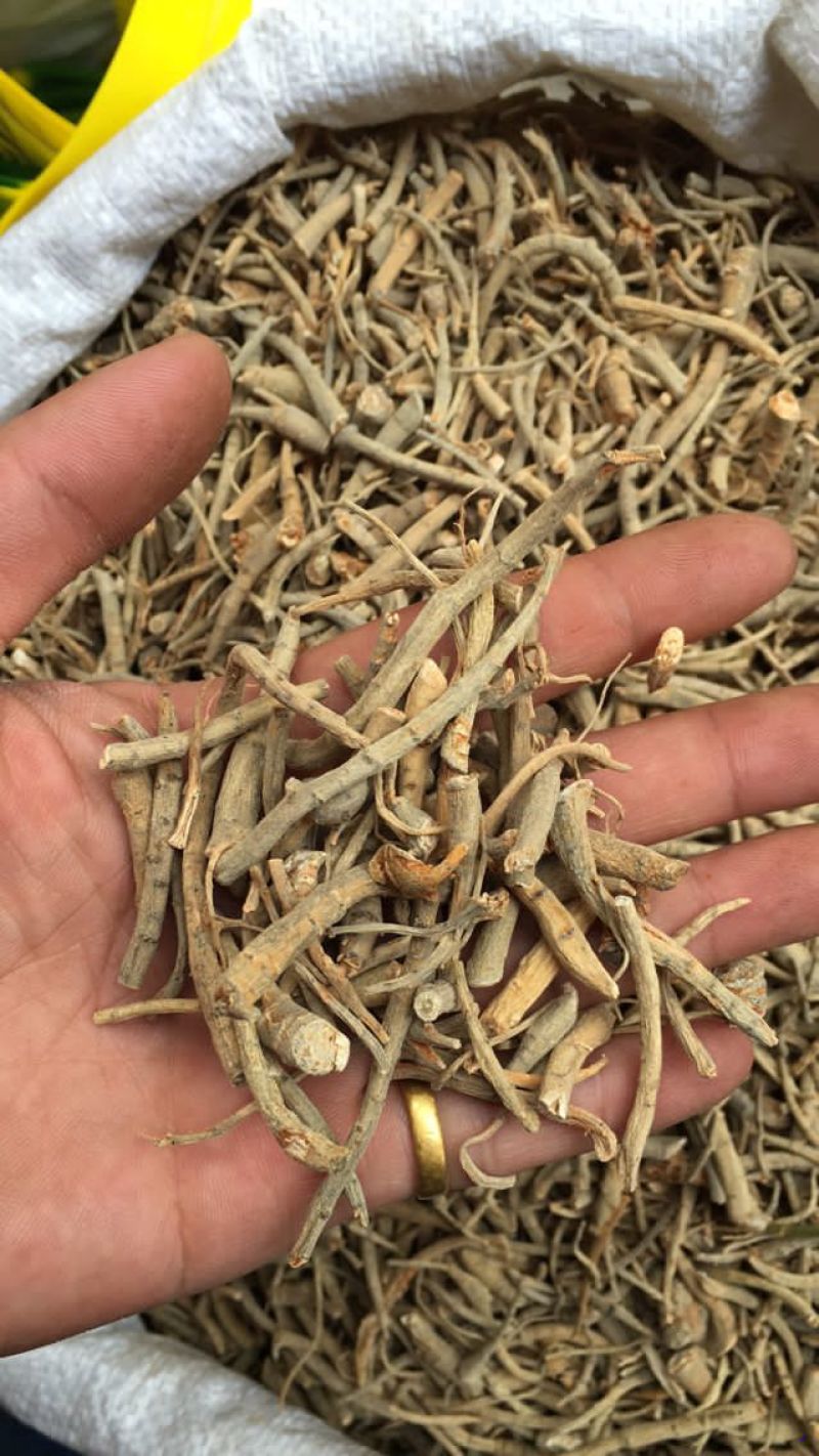 纯三七打粉云南文山三七田七粉大量供应500克免费试吃