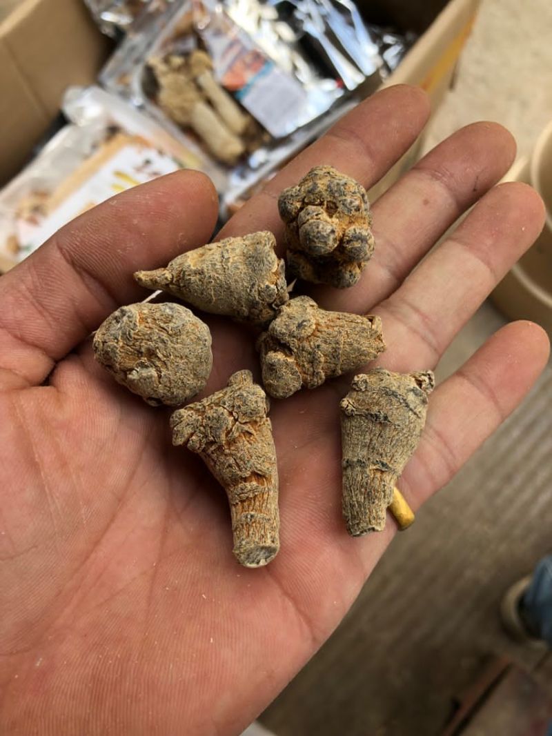 纯三七打粉云南文山三七田七粉大量供应500克免费试吃