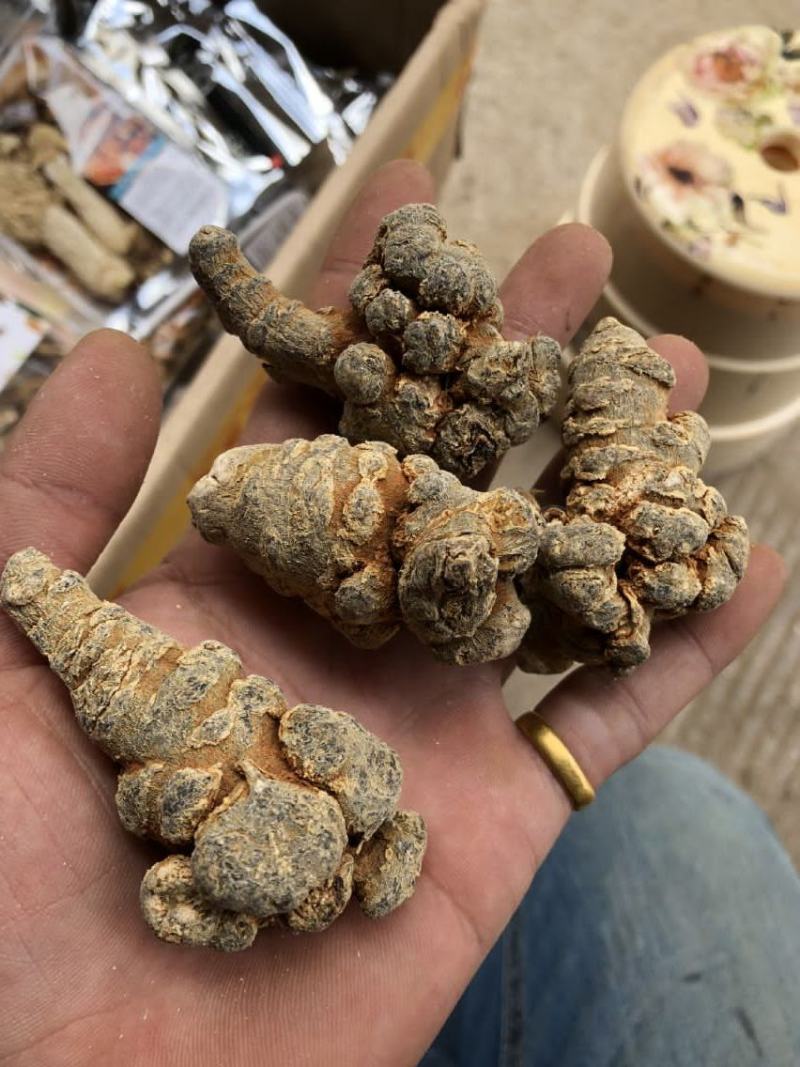 纯三七打粉云南文山三七田七粉大量供应500克免费试吃
